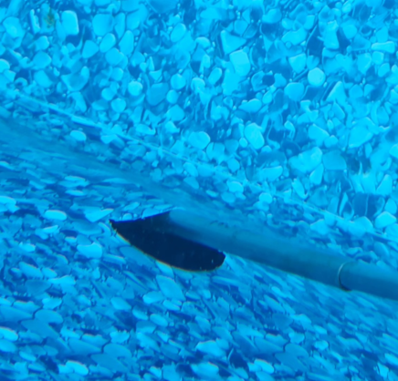 a hole in a liner pool needing a patch